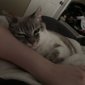 Meet your Posher, Mars